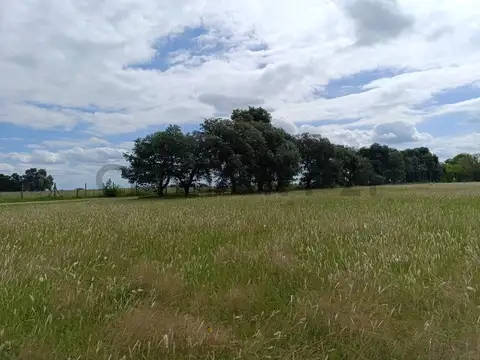 Terreno de 1 hectárea en Venta en Loma Escondida, Luján - FINANCIADO