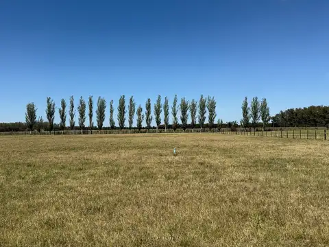 Terreno en La Macarena