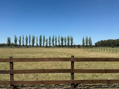 Terreno en La Macarena