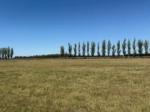 Terreno en Venta de 10000,0 m2