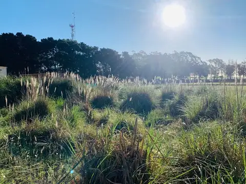Terreno en Venta de 1000,0 m2