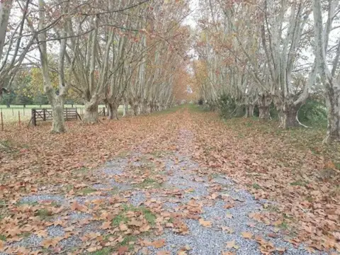 Estancia Las Malvinas - Barrio de Chacras