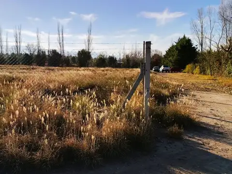 Terreno en Venta en Vistalba, USD 590.000