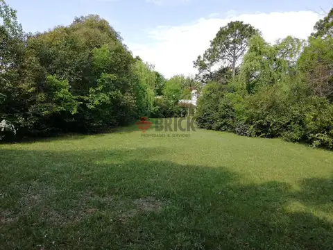 GOLFERS CC Lote al 1500