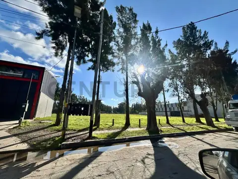 485 138 y Diagonal 6 , Piso 0