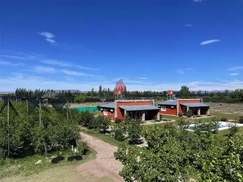 Finca en Cuadro Benegas