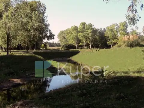 Azzurra Tortugas lote a la venta ya!