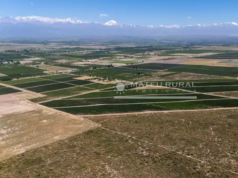 Finca en Tupungato