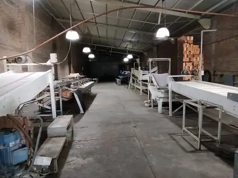 Planta agroindustrial en funcionamiento Empaquetadora FRUTAS FALOR SRL – Goudge