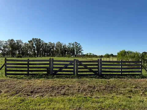 Terreno lote en venta en chacras San Andres - Villa Ruiz - San Andres de Giles