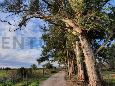 Terreno en Venta en Berisso, USD 48.000