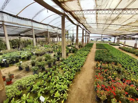 Fondo Comercio en Venta en Santo Tome, USD 25.000