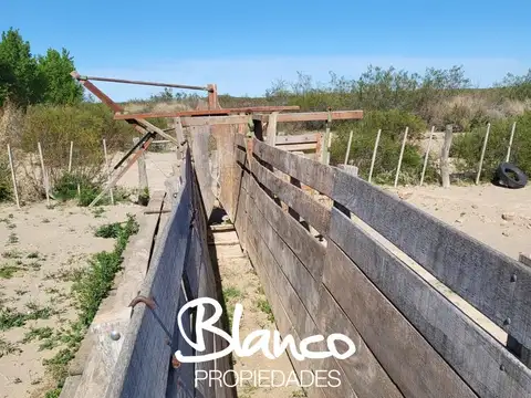 Campo  en Venta en 25 De Mayo, Puelen, La Pampa