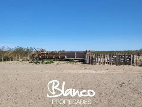 Campo  en Venta en 25 De Mayo, Puelen, La Pampa