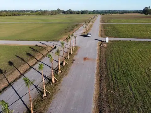 EL LAZO - SIN EXPENSAS! LOTES FINANCIADOS - ÉXITO DE VENTAS