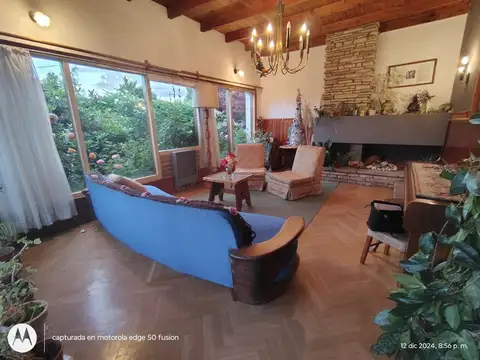 Lonquimay y Los alerces 100