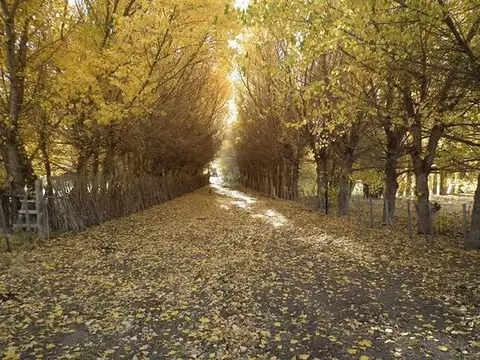 Gobernador Costa Campo ubicado en el Valle del Río Senguer