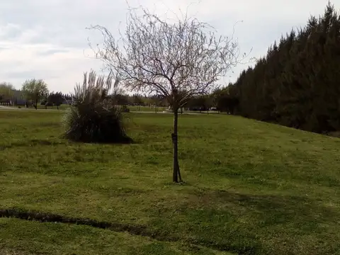 LOTE EN VENTA HARAS DEL SUR 2