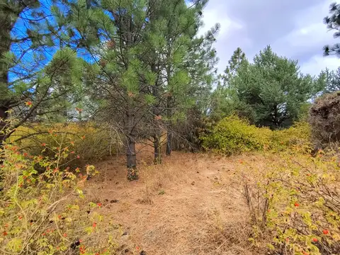 Campo en Venta con Alambrado