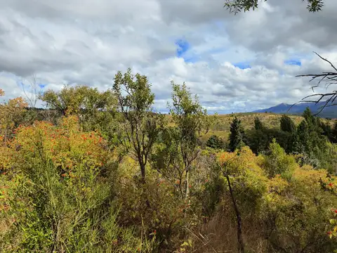 Campo en Venta de 6  ha
