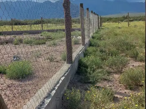 Terreno en Venta de 499,0 m2