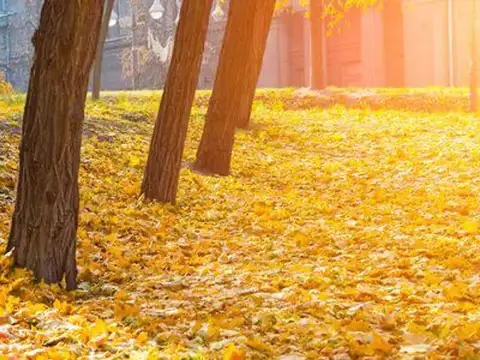 Ruta Provincial 6 100