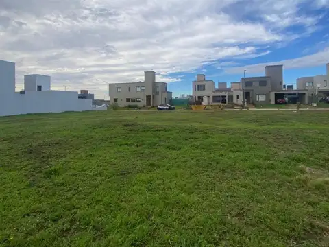 Docta Urbanización 100