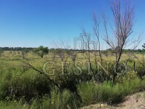 Terreno en Venta en General Alvear, USD 10.000
