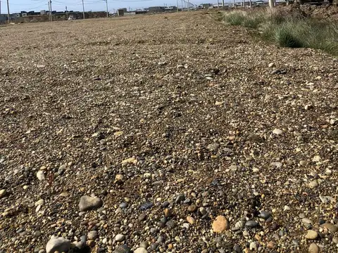 CALLE 517 ENTRE VUELTA DE OBLIGADO Y CALLE CHEPELMUT 500