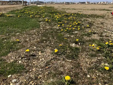 Terreno en Venta en Rio Grande, USD 21.000