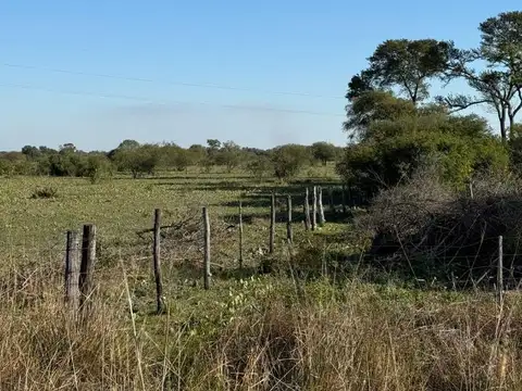 -27.208361, -59.247944