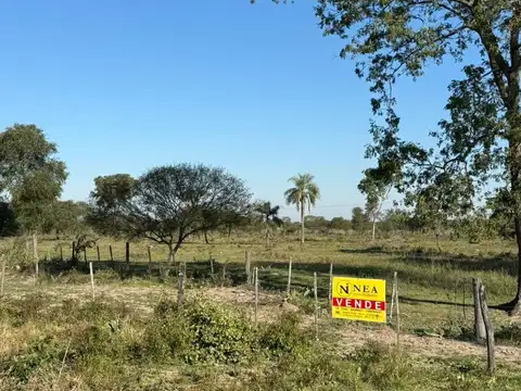 Terreno triagular de 18.000m² sobre Ruta Nacional N° 16
