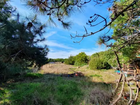 Terreno en Venta 12,50  mts Frente