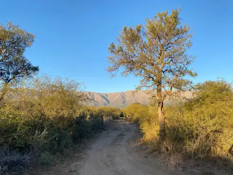 Terreno en Venta 55  mts Fondo