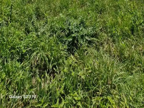 Terreno en Venta 60  mts Frente