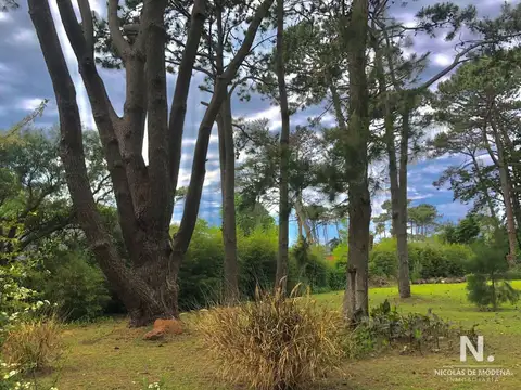 Terreno en Venta de 1310,0 m2