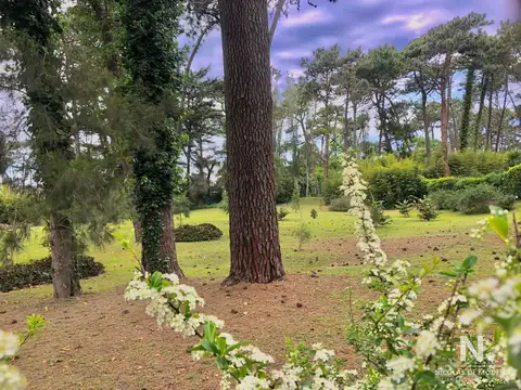 Terreno en Venta 22  mts Frente