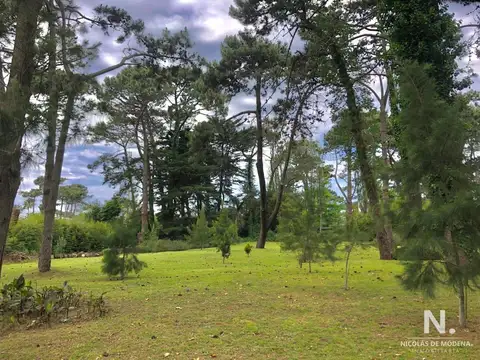 Terreno en Venta 60  mts Fondo