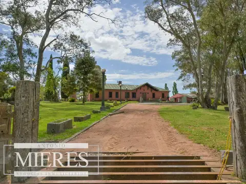 Chacra de 100ha con  importante casa en Maldonado