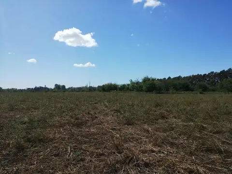 CAMPO - FRACCION DE 8.15 HAS