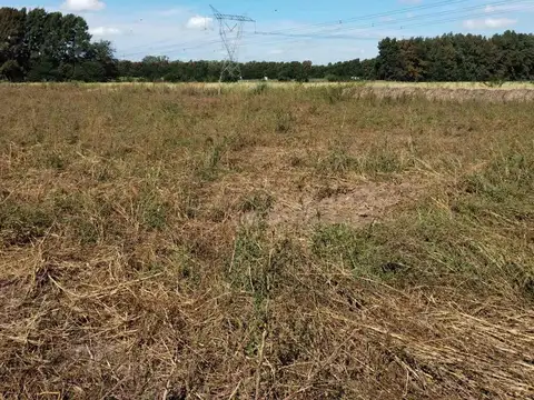 CAMPO - FRACCION DE 8.15 HAS