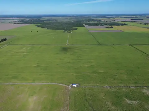 Campo mixto en MALABRIGO (Santa Fe)