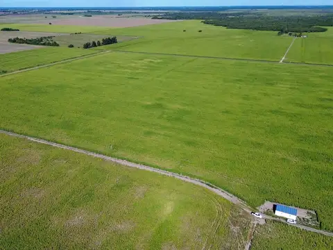 Campo mixto en MALABRIGO (Santa Fe)