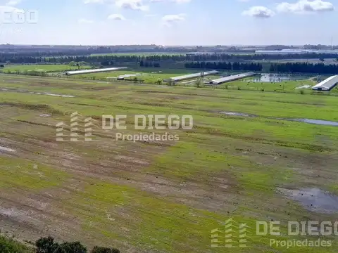 Camino de la Costa Brava km 3,3