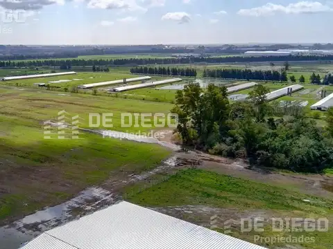 Camino de la Costa Brava km 3,3