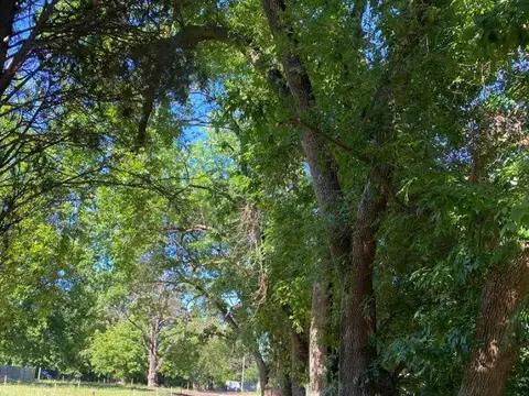 Terreno en Venta en Tortuguitas, USD 23.000