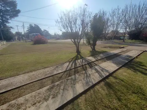 Cortines sobre Avenida Principal