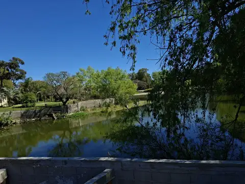 Local en Alquiler A Estrenar