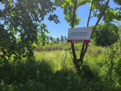 Terreno en Venta de 6219,0 m2