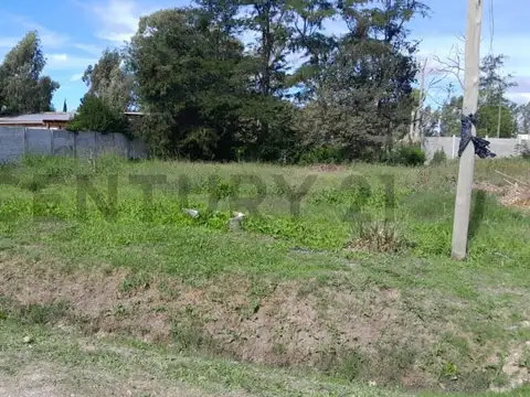 Terreno en Venta 34  mts Fondo